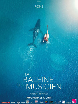 Affiche du film La Baleine et le musicien