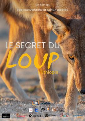 Affiche du film Le Secret du Loup d’Éthiopie