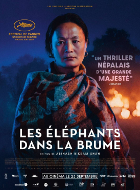 Affiche du film Les Éléphants dans la brume
