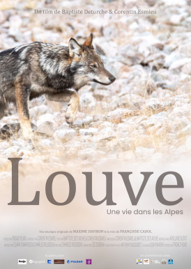 Affiche du film Louve, une vie dans les Alpes