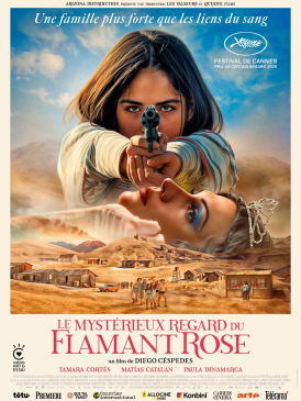 Affiche du film Le Mystérieux regard du flamant rose au cinéma Paradiso de St MArtin en Haut