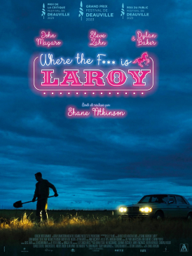 Affiche du film LaRoy au cinéma Paradiso de St MArtin en Haut