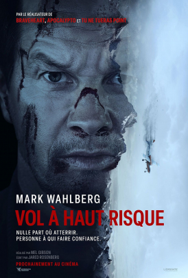 Affiche du film Vol à haut risque