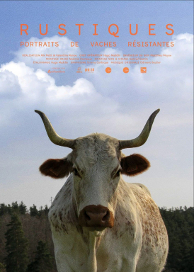 Affiche du film Rustiques, Portraits DE Vaches Résistantes au cinéma Paradiso de St MArtin en Haut