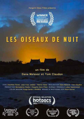 Affiche du film Les Oiseaux de nuit au cinéma Paradiso de St MArtin en Haut