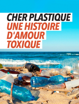 Affiche du film Cher plastique, une histoire d'amour toxique