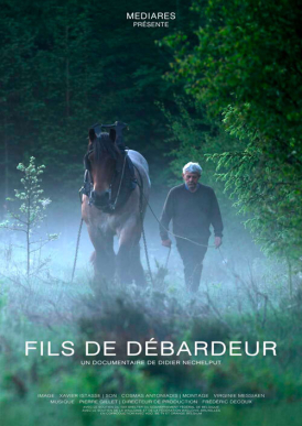 Affiche du film Le fils du débardeur au cinéma Paradiso de St MArtin en Haut