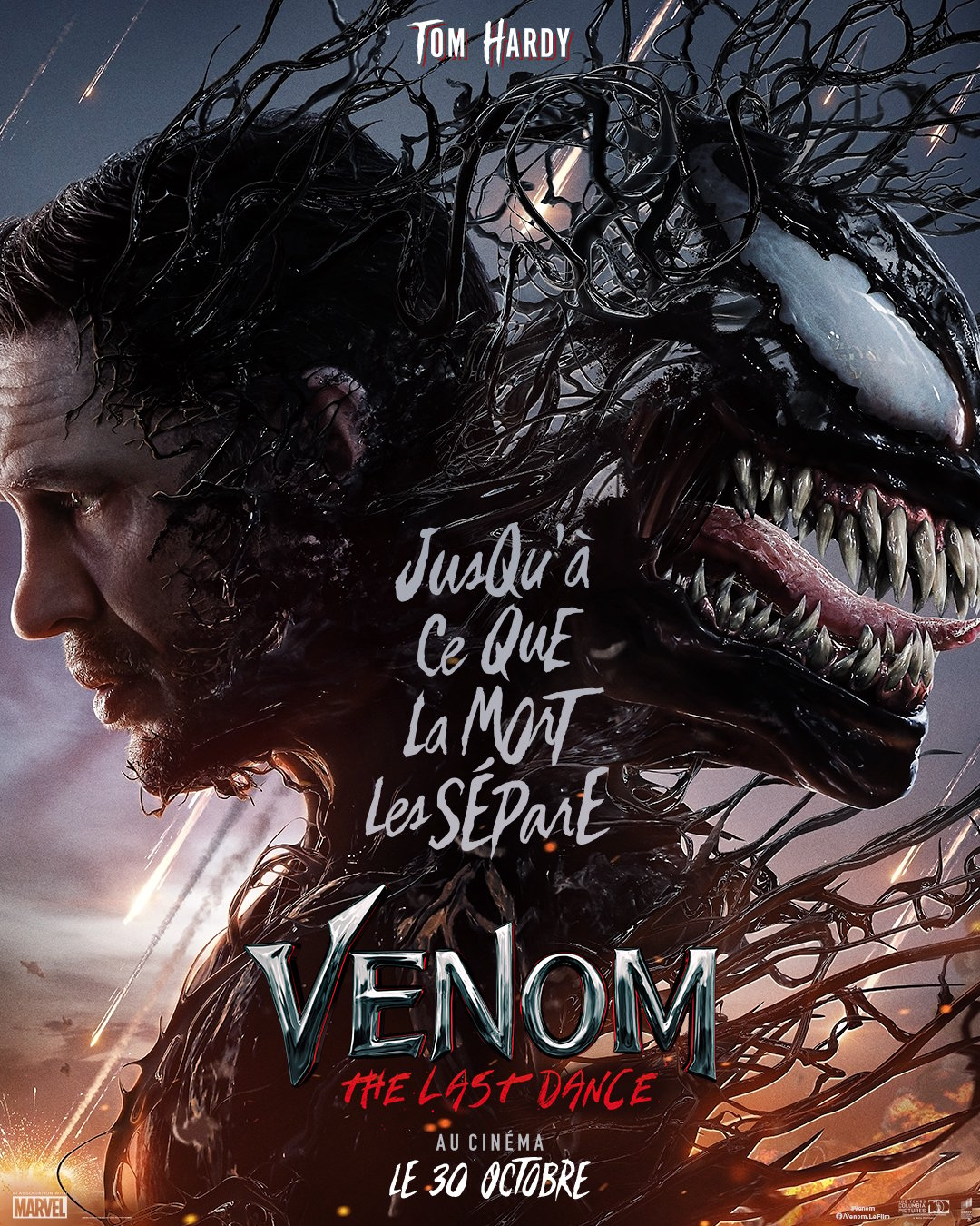 Affiche du film Venom: The Last Dance