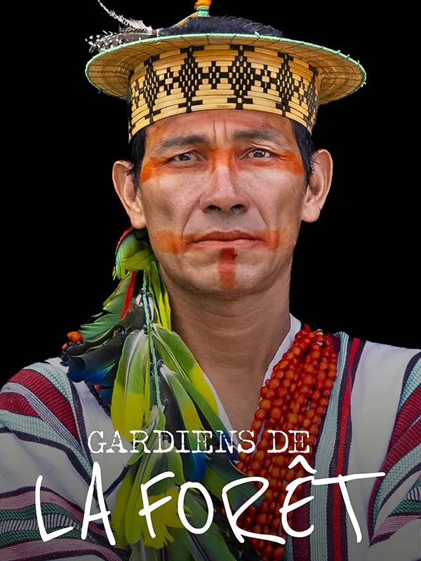 Affiche du film Brésil, replanter l'Amazonie